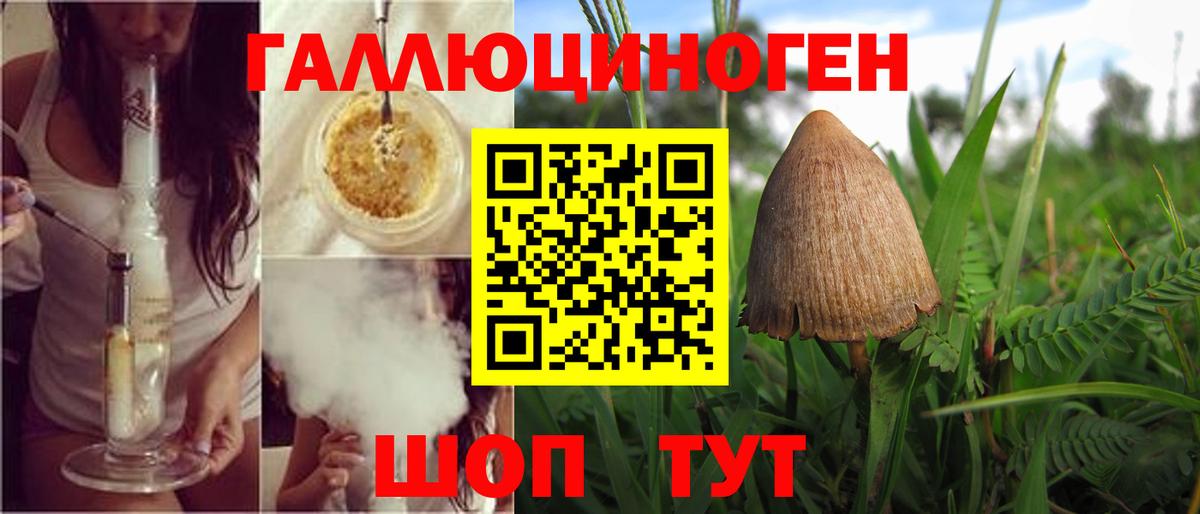 Псилоцибиновые грибы Magic Shrooms Волхов