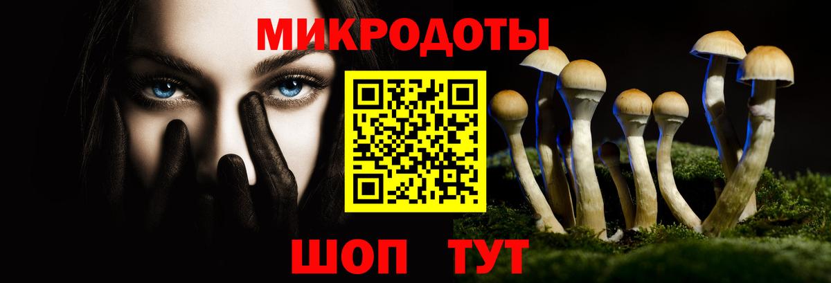 Волхов  Псилоцибиновые грибы Psilocybe  Вход с VPN 